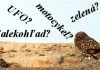 Čo sem nepatrí?