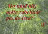 Pes a les