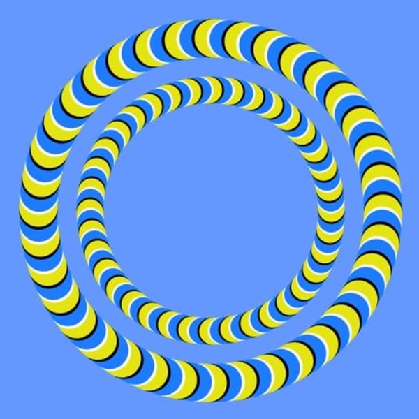 Oba kruhy sú statické, alebo sa točia? Očné klamy dokážu perfektne oklamať ľudský zrak. Čo vidíte vy?