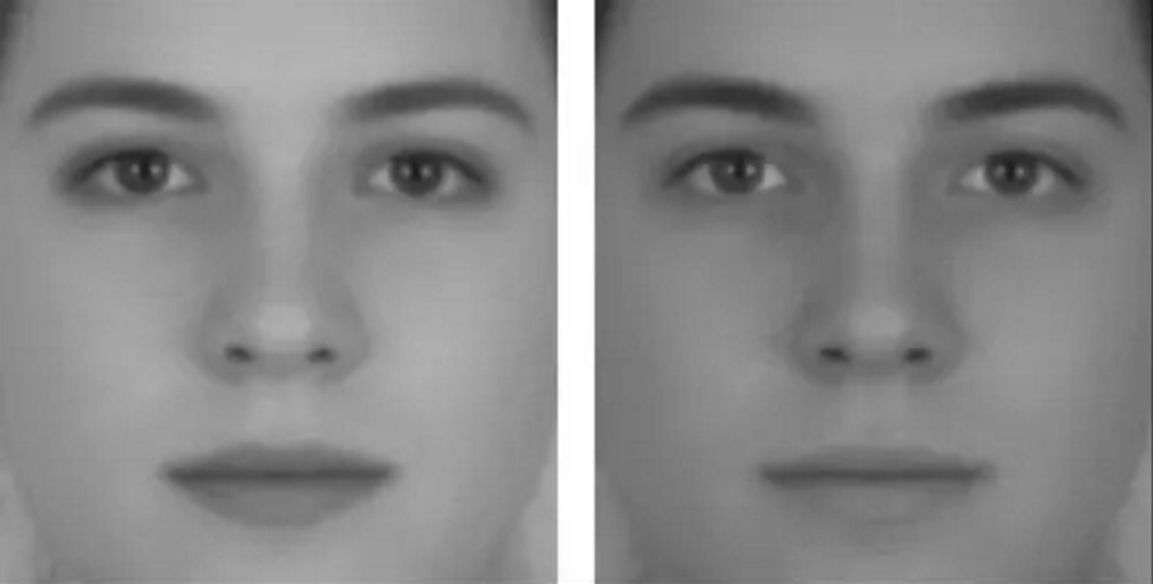 Dve tváre - optické ilúzie, ktoré pracujú s farebnosťou. 