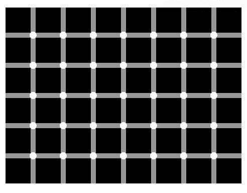 Spočitajte všetky čierne bodky. Optický klam, ktorý vás poriadne zamotá!